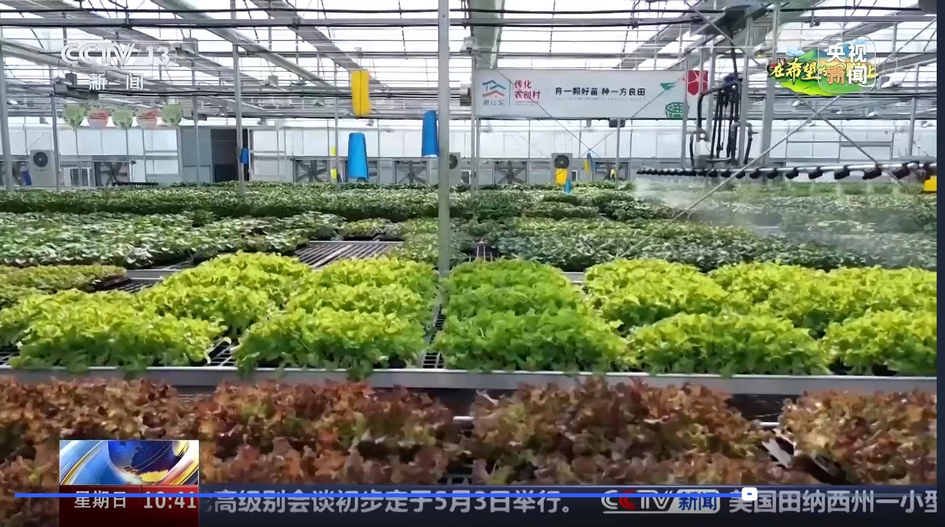 數(shù)字種苗工廠.jpg