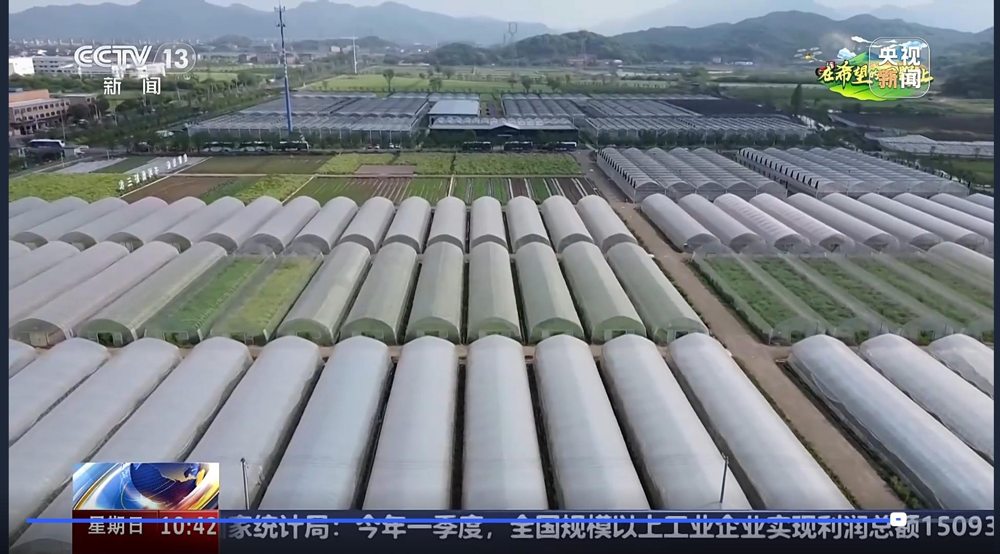 農(nóng)創(chuàng)村全景.jpg
